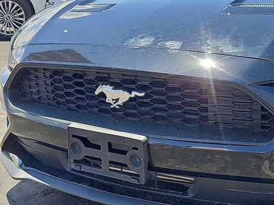 2021 Ford Mustang EcoBoost